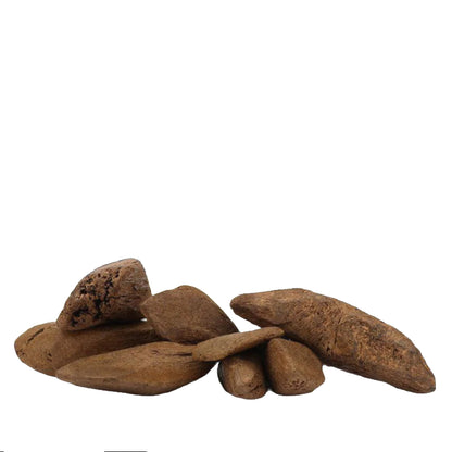 عود جاوي